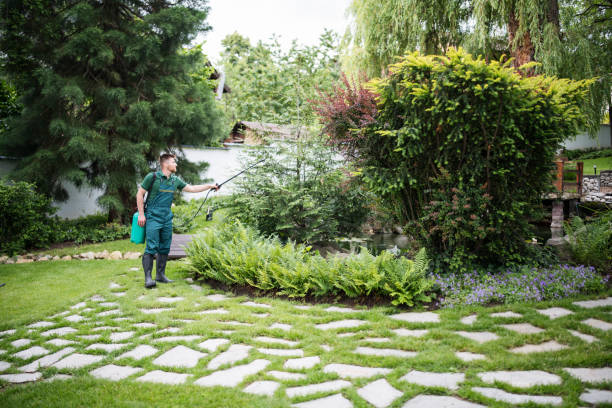 Best Pest Prevention Services  in Adelino, NM